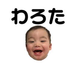 198460444