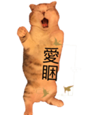 198804793