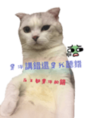 198804796
