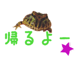 199219928