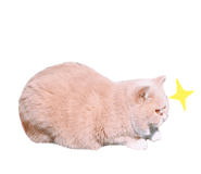199713348