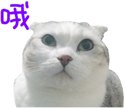 200050600