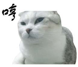 200050602