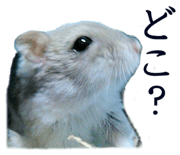 20012221