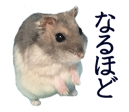 20012222