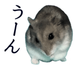 20012223