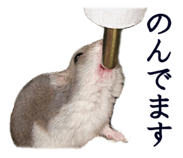 20012231