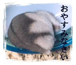 20012233