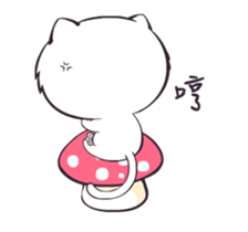 20013971