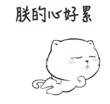 20013978