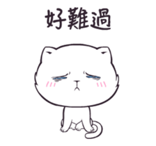 20013982