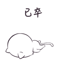 20013986