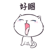 20013987