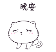 20013988