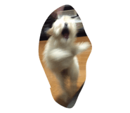 20014143
