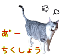 20020326