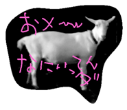20020810