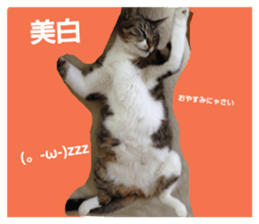20040666