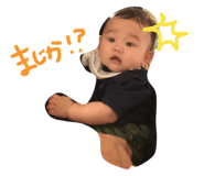 20043173