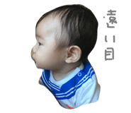 20043176
