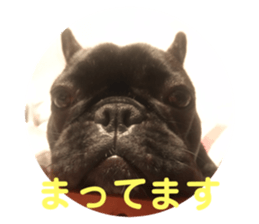 200541893