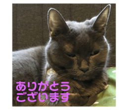 200585456