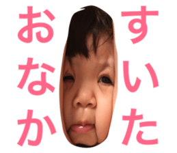 20064136