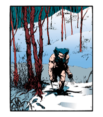 X-MEN Wolverine รูปที่ 11