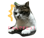20083208