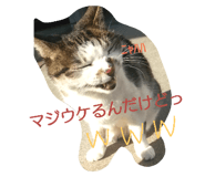20083211