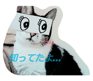 20083212