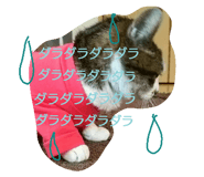 20083215