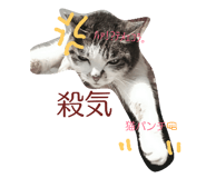 20083216