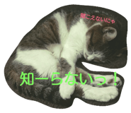 20083218