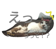 20083219