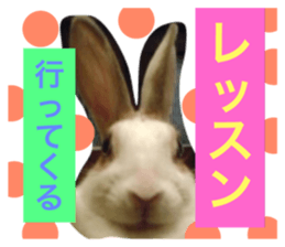 20085244