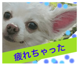 20085255
