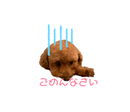 200920574