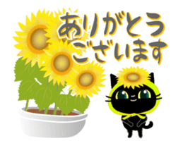 200934231
