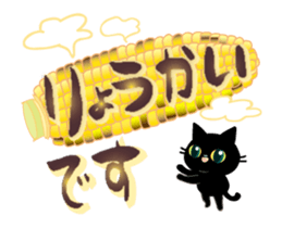 200934235