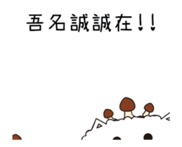 200953512