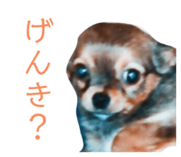 200960191