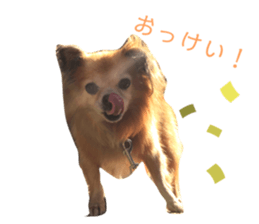 200960198