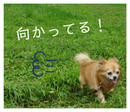 200960204