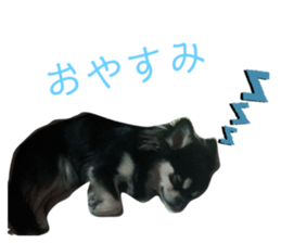 200960205