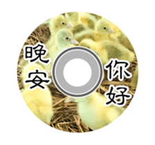 20100658