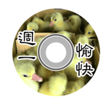 20100669