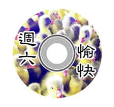 20100674
