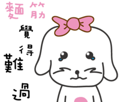 201021263