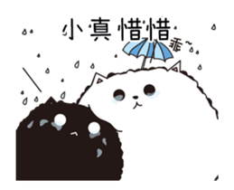 201025026
